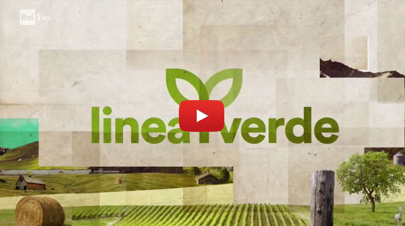 preview_video_LINEA_VERDE