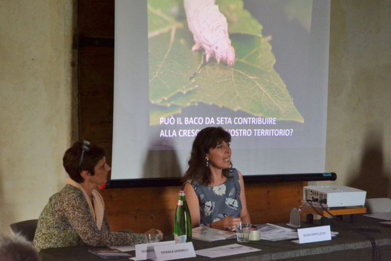 30/05/2018, Villa Saraceno - Agugliaro (VI) - Silvia Cappellozza per il Crea di Padova, progetto Serinnovation